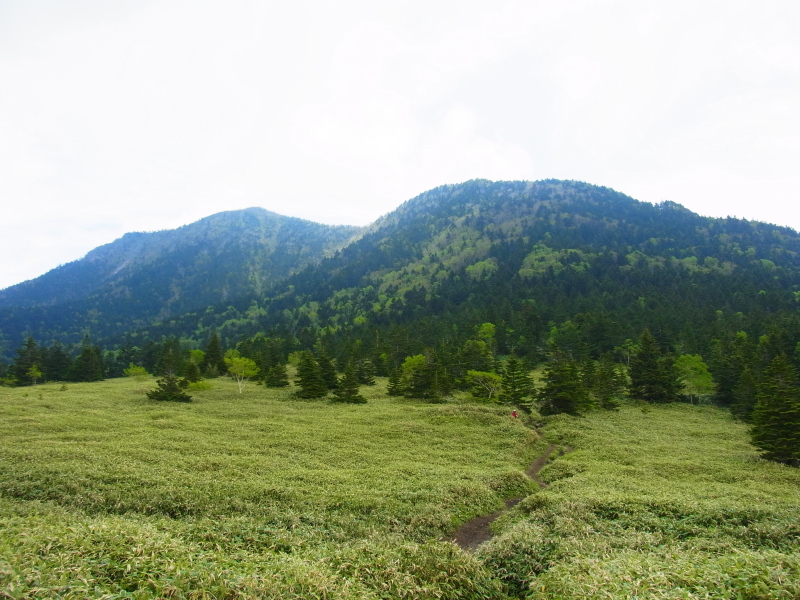 b0190242_21431779.jpg