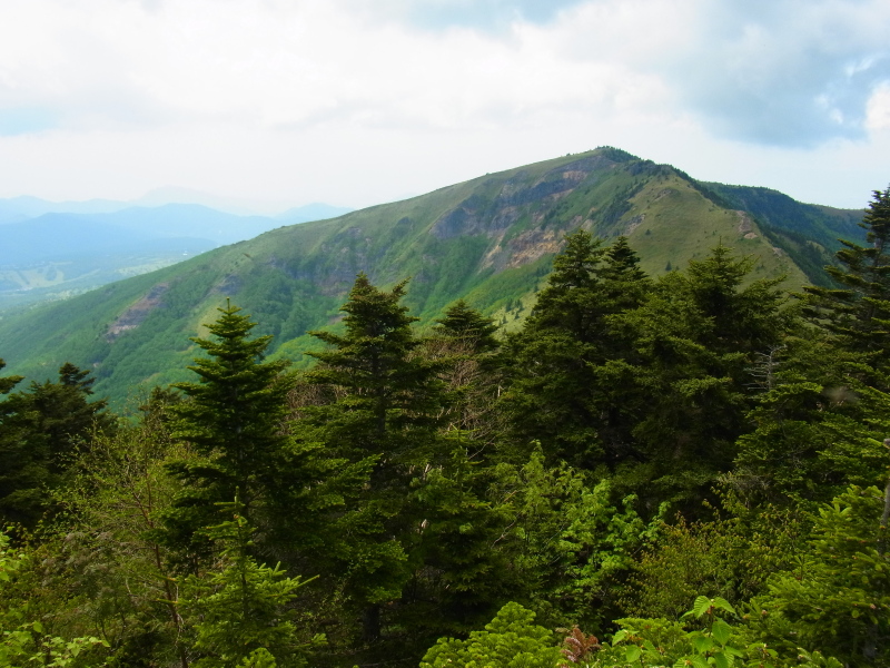b0190242_21434391.jpg