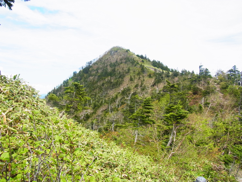 b0190242_21435328.jpg