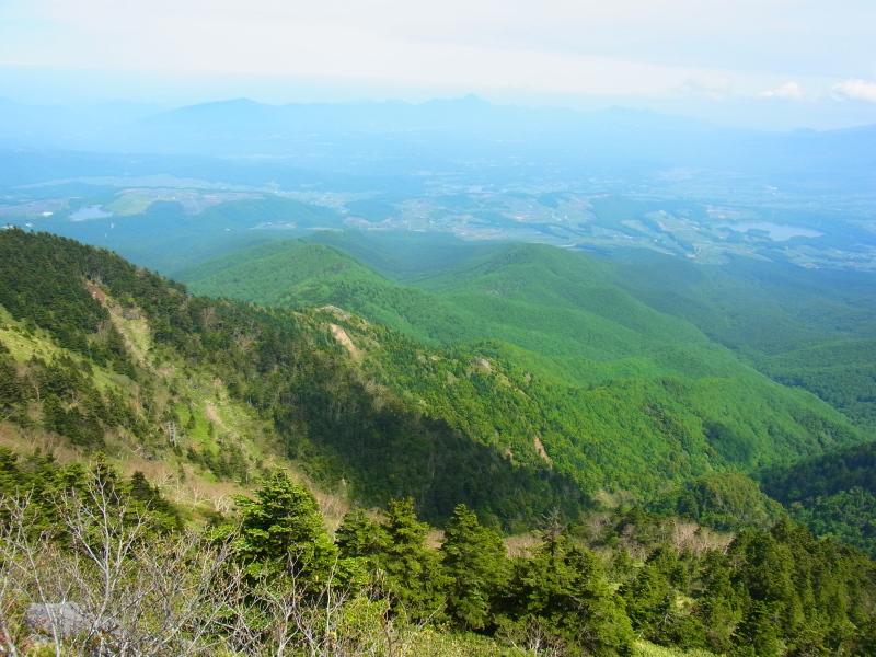b0190242_21444159.jpg