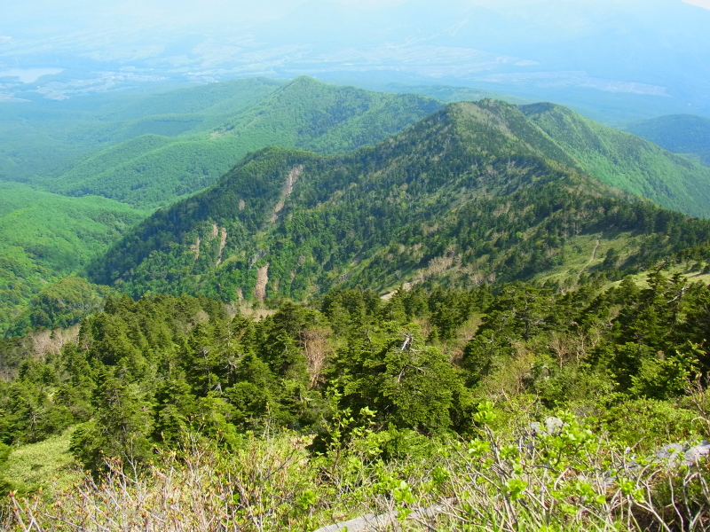 b0190242_2145014.jpg