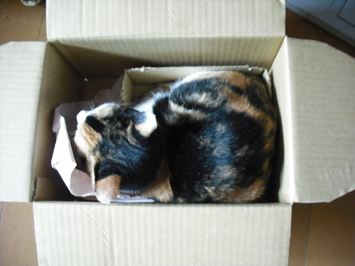 c0194042_2203175.jpg