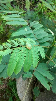 c0220047_14494714.jpg