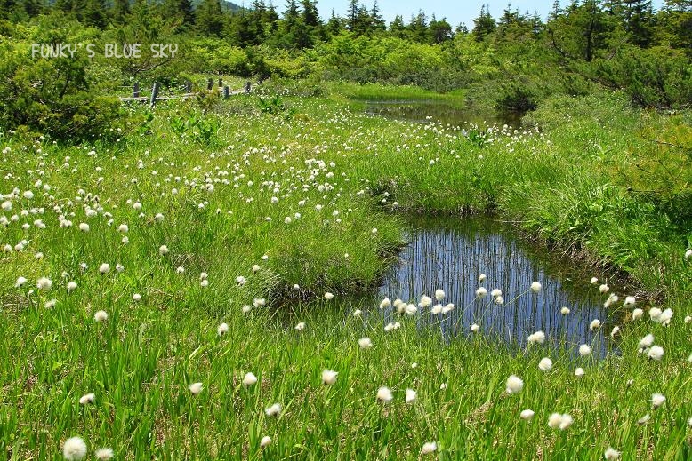 c0145250_10541411.jpg