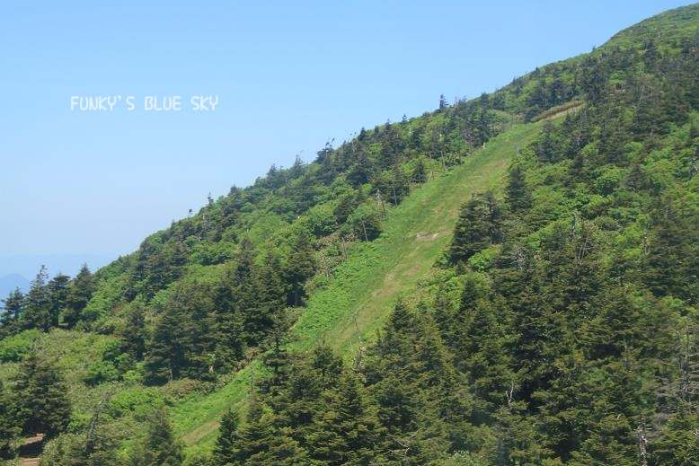 c0145250_20443598.jpg