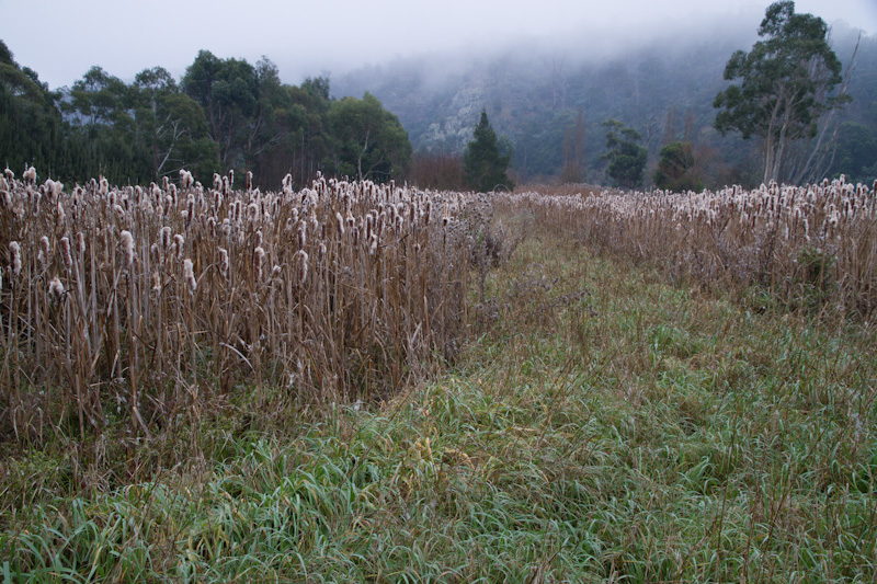 f0137354_2028368.jpg