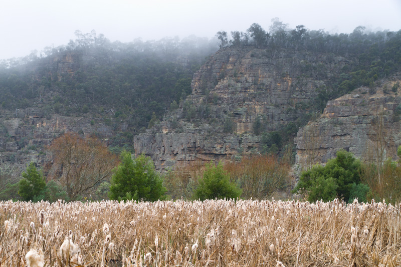f0137354_2029162.jpg