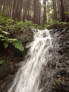 f0221258_21213948.jpg