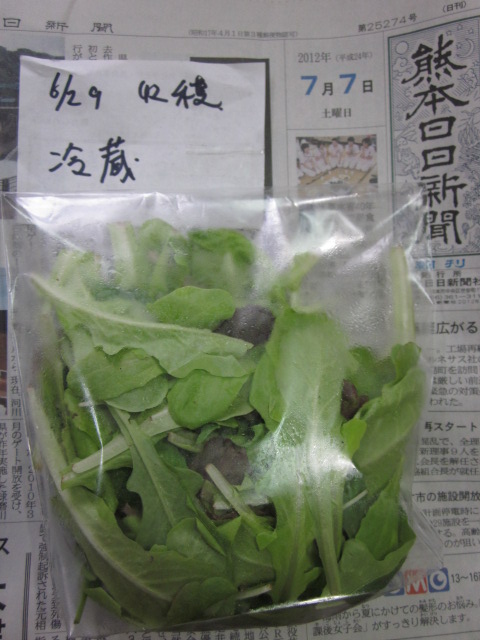 e0181260_20233956.jpg