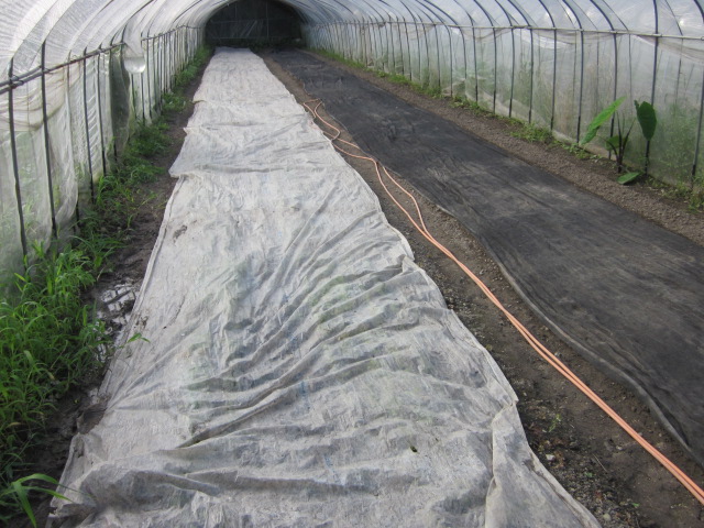 e0181260_20262257.jpg
