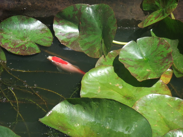 c0115366_22292328.jpg