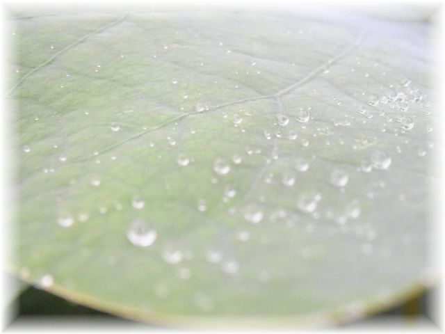 f0065167_0321685.jpg