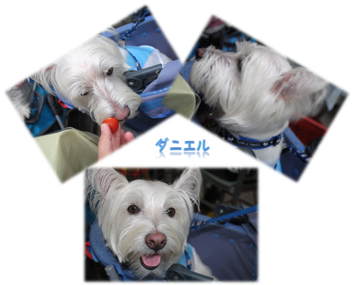 b0242873_20574978.png