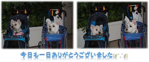 b0242873_2155762.png