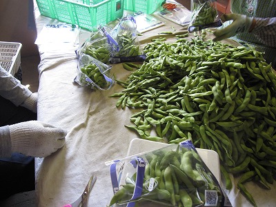 e0098473_0122335.jpg