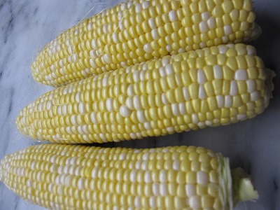 e0098473_0324897.jpg