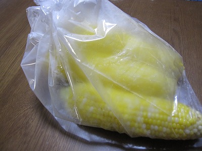 e0098473_0332291.jpg