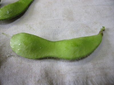 e0098473_09854.jpg