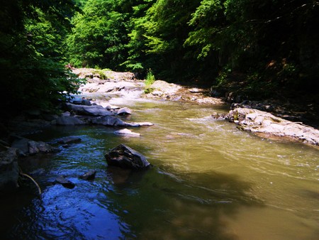 d0170077_22592013.jpg