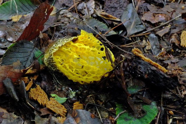 d0245378_16132039.jpg