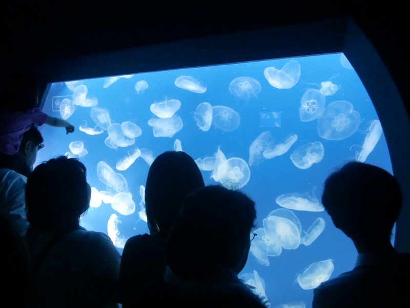 f0238779_6331815.jpg