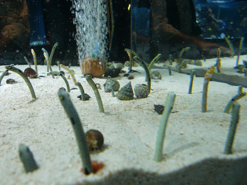f0238779_6335572.jpg