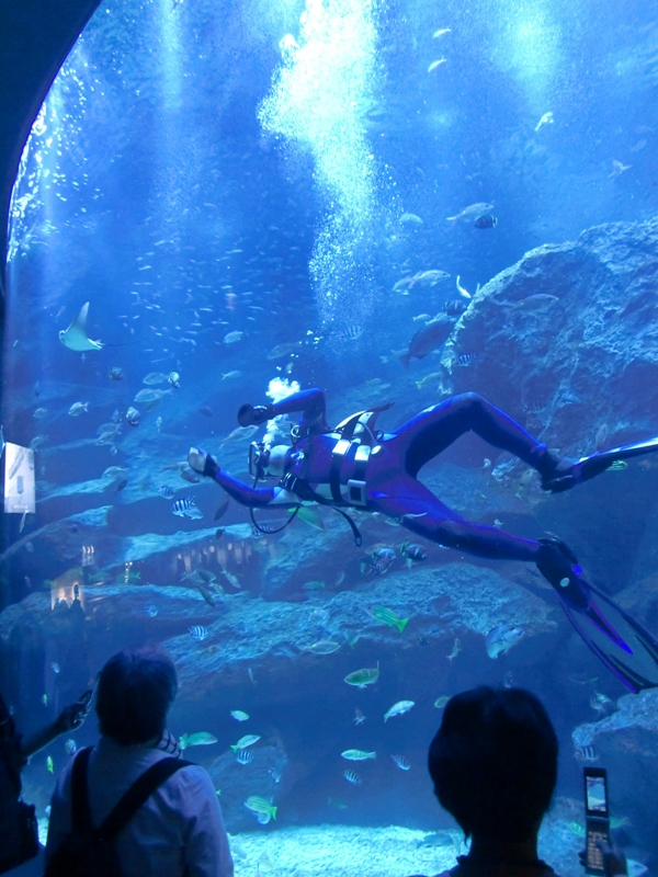 f0238779_6342493.jpg