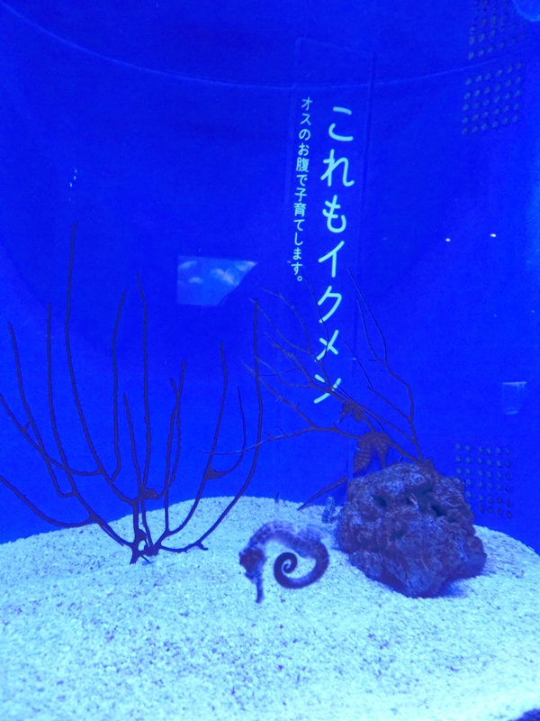 f0238779_634665.jpg
