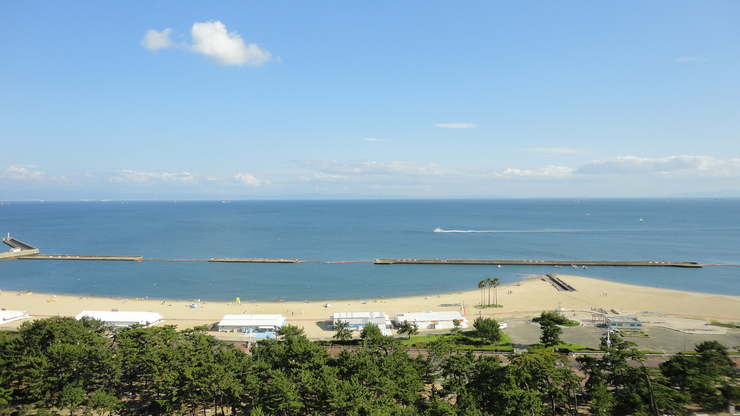 e0024081_174462.jpg
