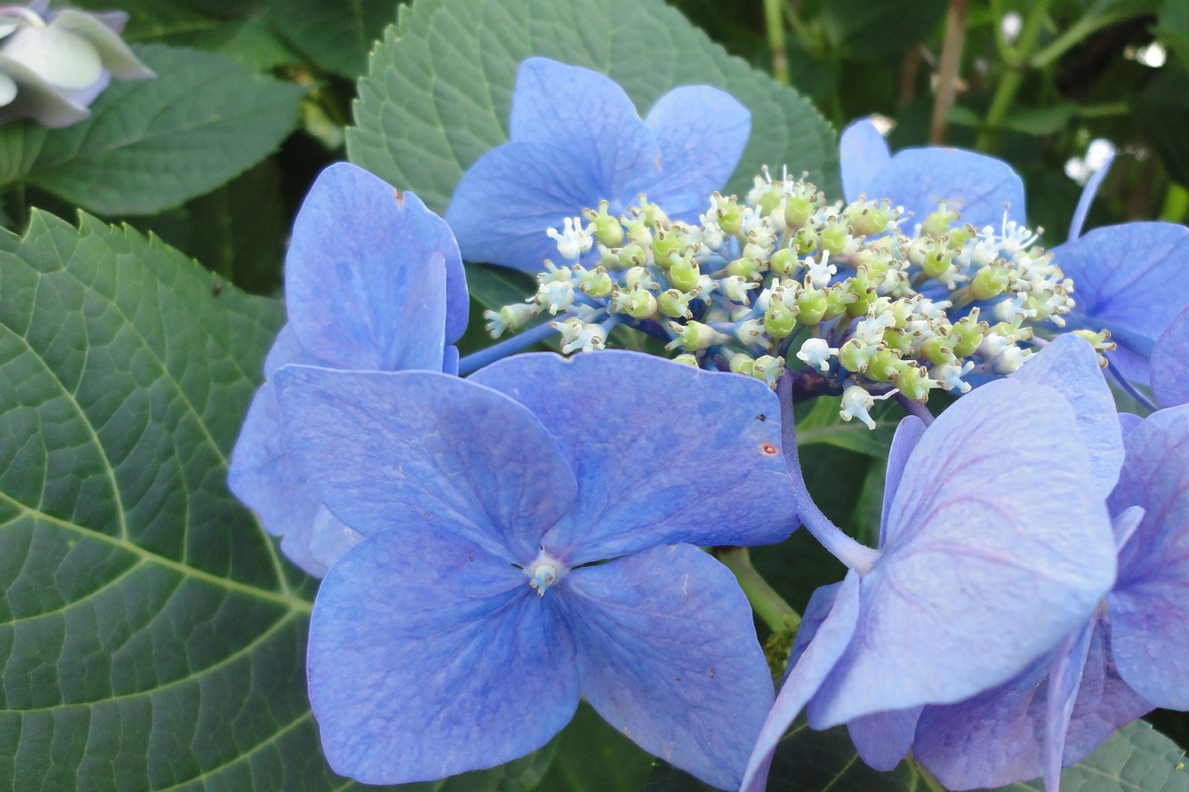 e0024081_1753811.jpg