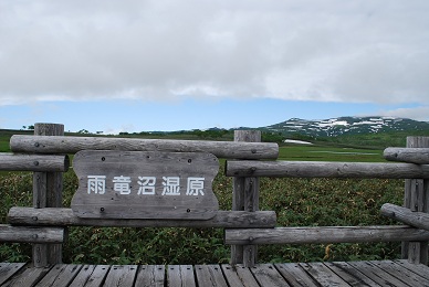 a0133886_17453384.jpg