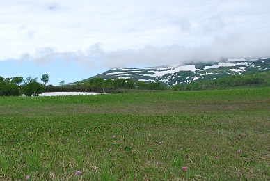 a0133886_17504221.jpg
