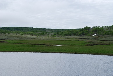a0133886_17505213.jpg
