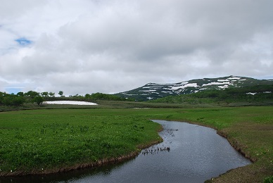 a0133886_18164724.jpg