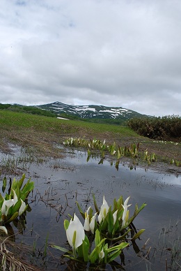 a0133886_18171967.jpg