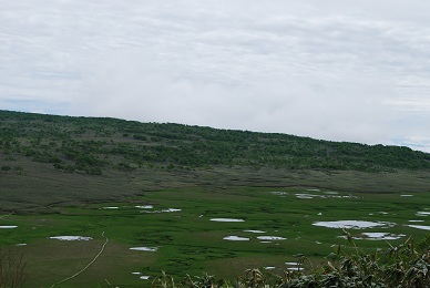 a0133886_1875287.jpg