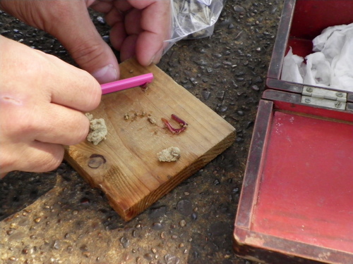 c0223591_15515035.jpg