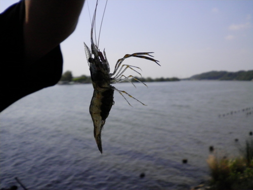 c0223591_1556323.jpg