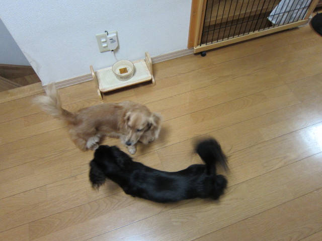 d0098295_2245347.jpg