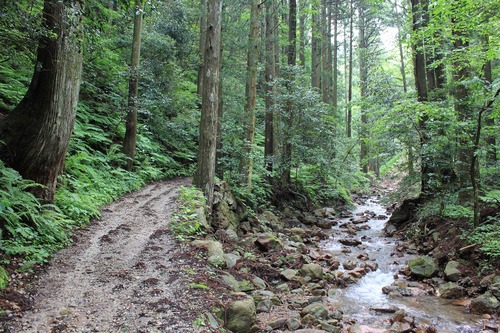 e0205502_2239376.jpg