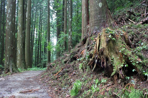 e0205502_2241215.jpg