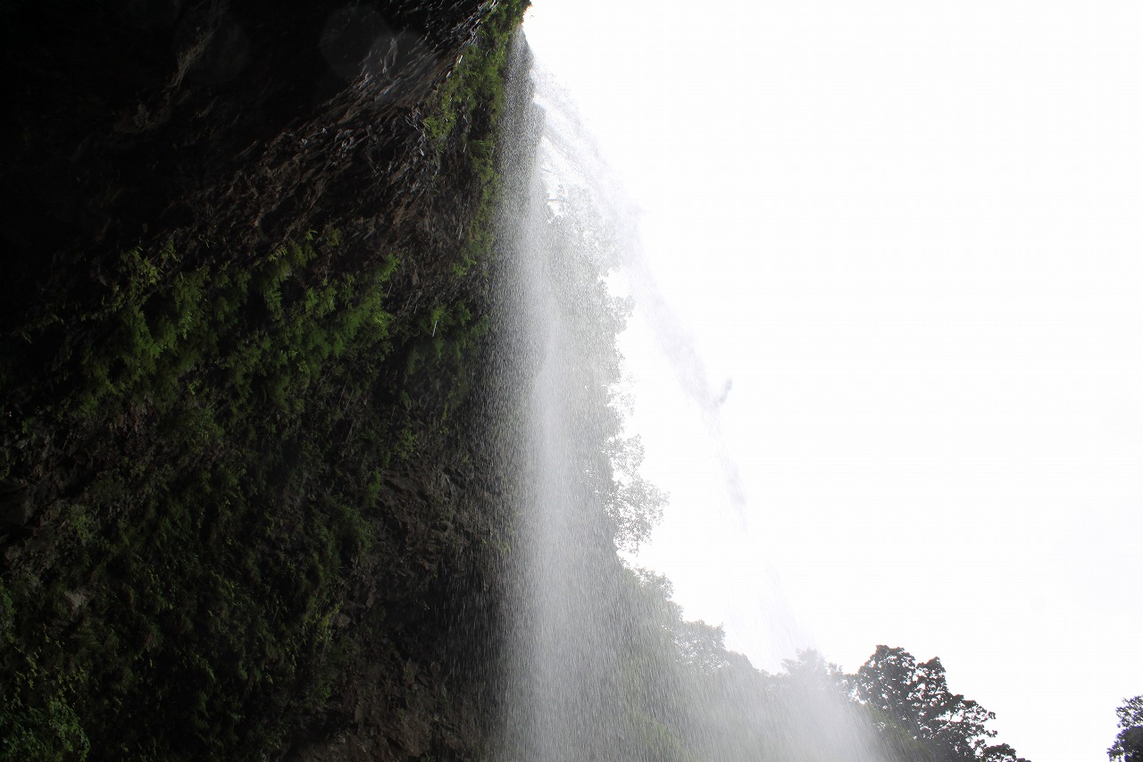 e0205502_2323018.jpg
