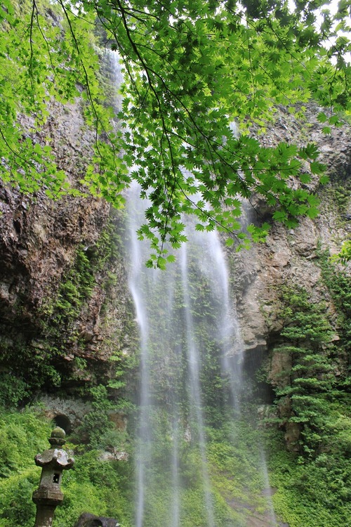e0205502_233265.jpg