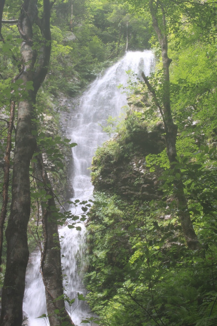 e0205502_2384564.jpg