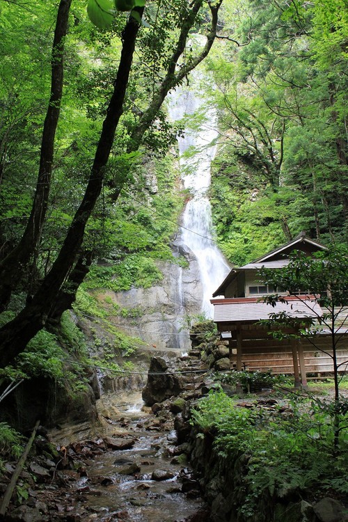 e0205502_2393480.jpg
