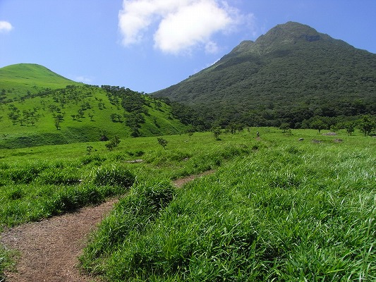 f0187402_2092580.jpg