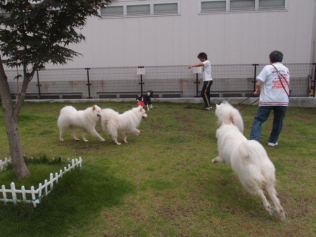 e0018604_1349591.jpg