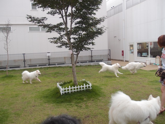 e0018604_1350454.jpg