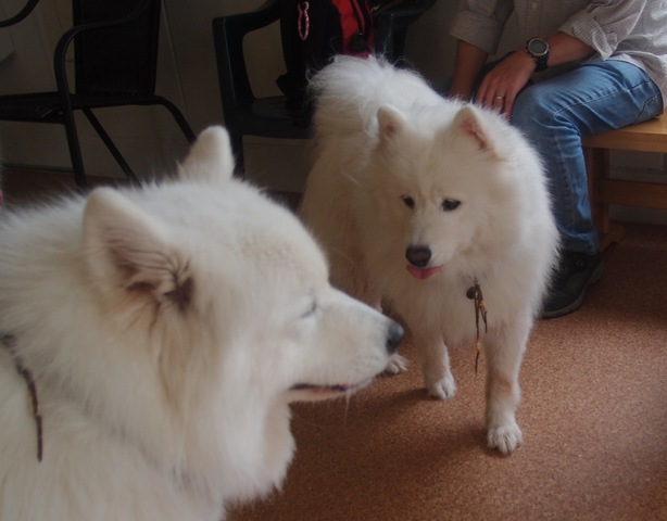e0018604_1352695.jpg