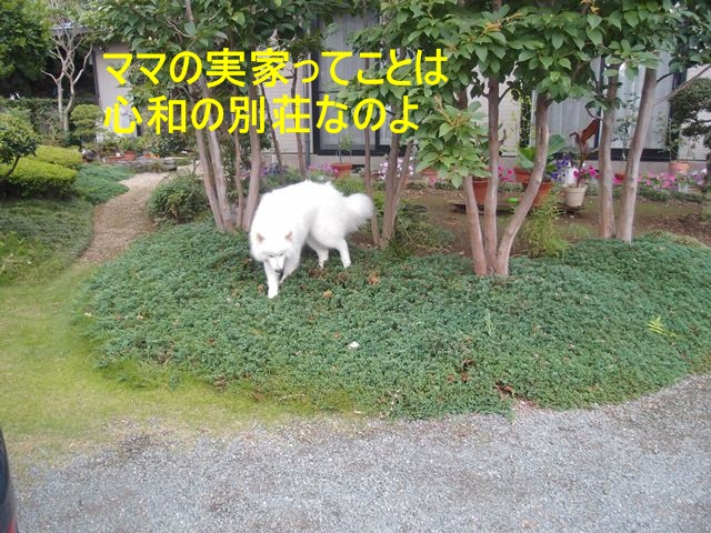 e0018604_1465193.jpg